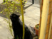 View full size picture