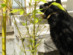 View full size picture