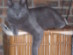 View full size picture