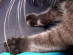 View full size picture