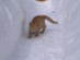 View full size picture