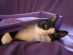 View full size picture