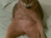 View full size picture
