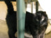 View full size picture