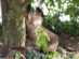 View full size picture