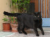 View full size picture