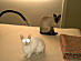 View full size picture