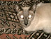 View full size picture