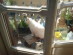 View full size picture