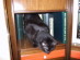 View full size picture