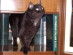 View full size picture