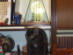 View full size picture