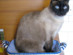 View full size picture