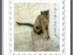 View full size picture