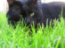 View full size picture