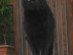 View full size picture