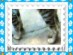View full size picture