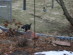 View full size picture