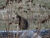 View full size picture