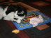 View full size picture