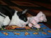 View full size picture