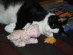 View full size picture
