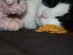 View full size picture