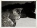 View full size picture