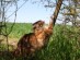 View full size picture