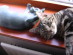 View full size picture