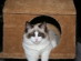 View full size picture