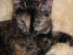 View full size picture