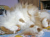 View full size picture
