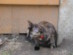 View full size picture