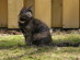 View full size picture