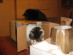 View full size picture