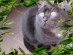 View full size picture