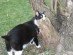 View full size picture