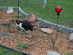 View full size picture