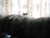 View full size picture