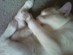 View full size picture