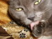View full size picture