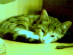 View full size picture