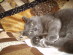 View full size picture