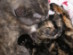 View full size picture