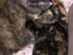 View full size picture
