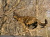 View full size picture