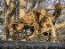 View full size picture