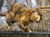 View full size picture