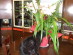 View full size picture